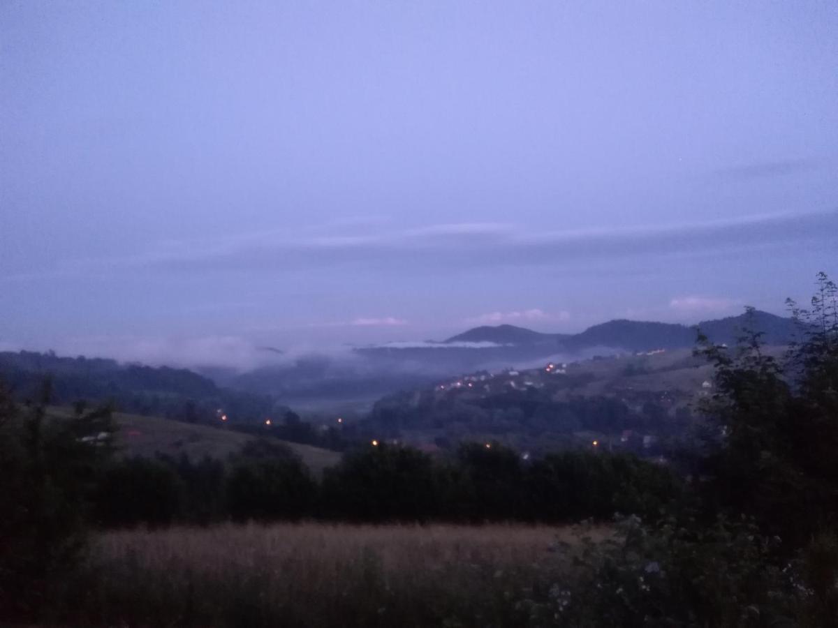 Domki I Apartamenty Nad Jeziorem Solinskim Z Basenem I Widokiem Na Gory Wolkowyja Exterior foto