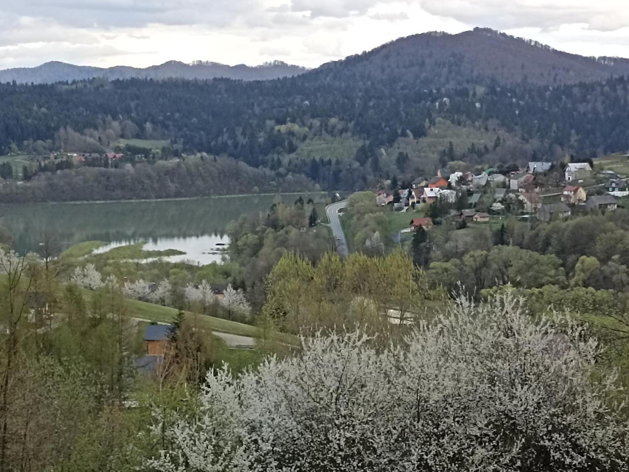 Domki I Apartamenty Nad Jeziorem Solinskim Z Basenem I Widokiem Na Gory Wolkowyja Zimmer foto